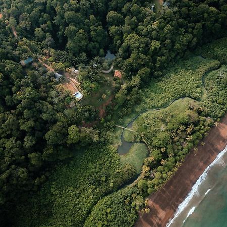 Natural Drake Bay Hotel Boutique 外观 照片