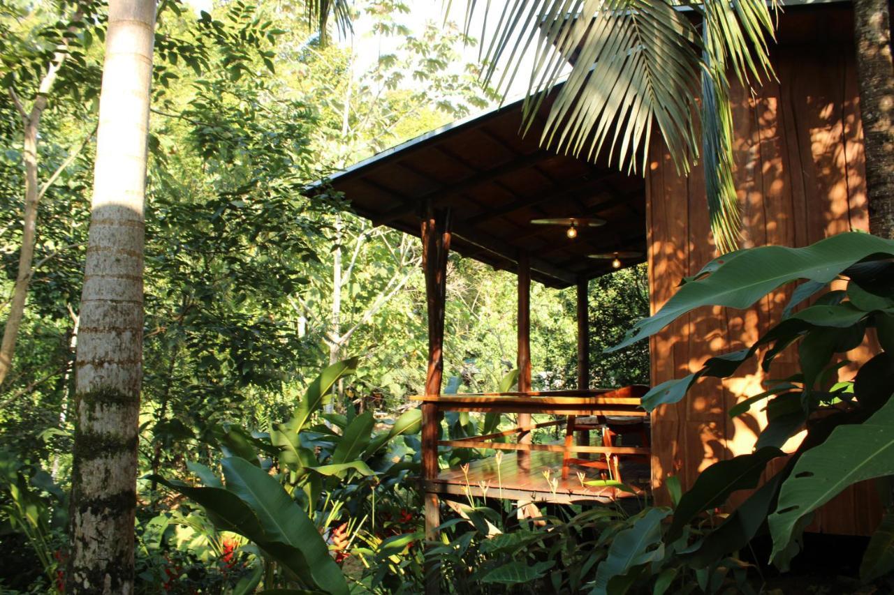 Natural Drake Bay Hotel Boutique 外观 照片