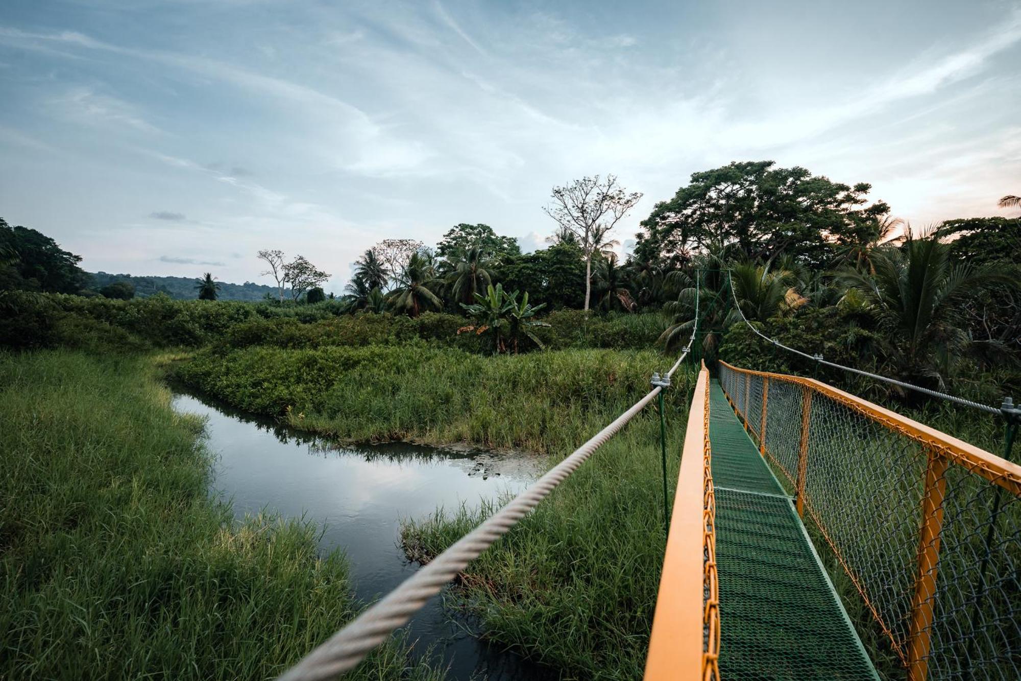 Natural Drake Bay Hotel Boutique 外观 照片